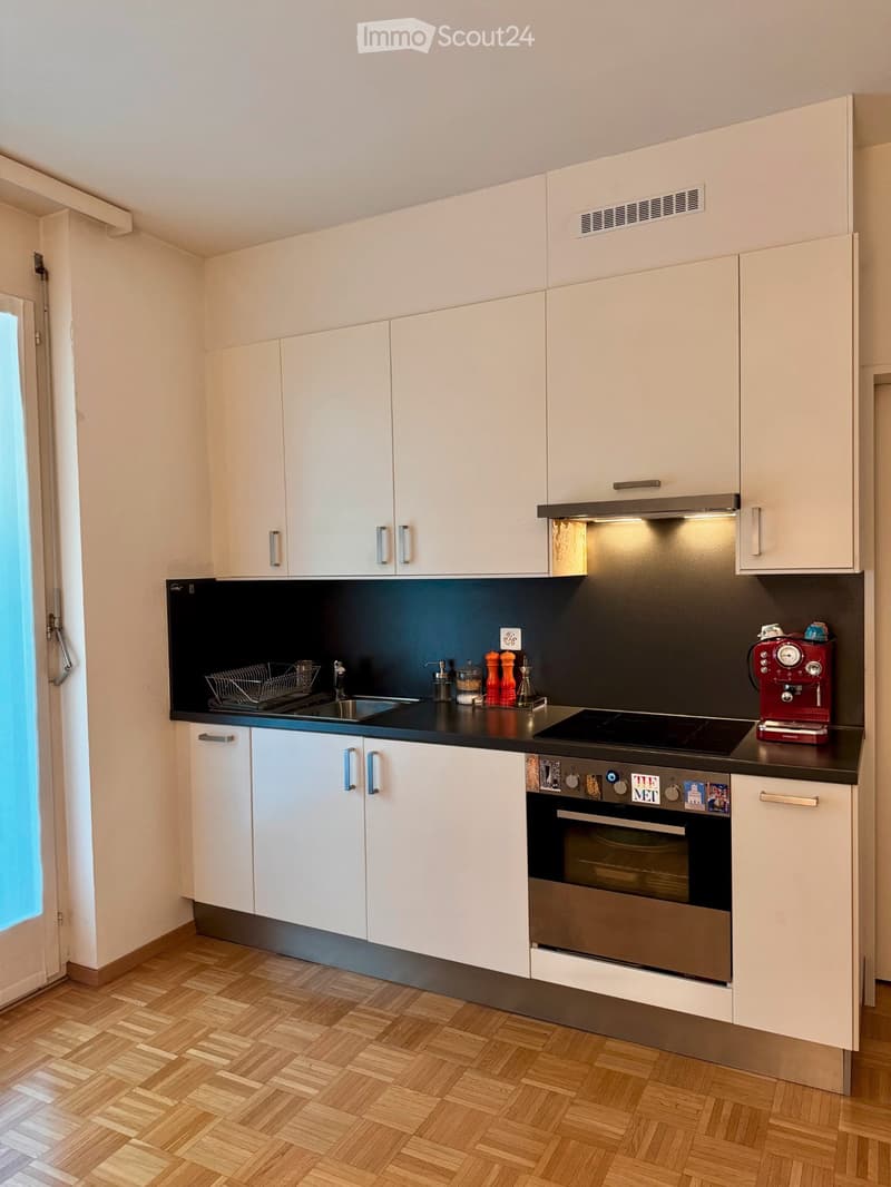 Mietwohnung mit zwei Zimmern und Balkon in Lugano (5)