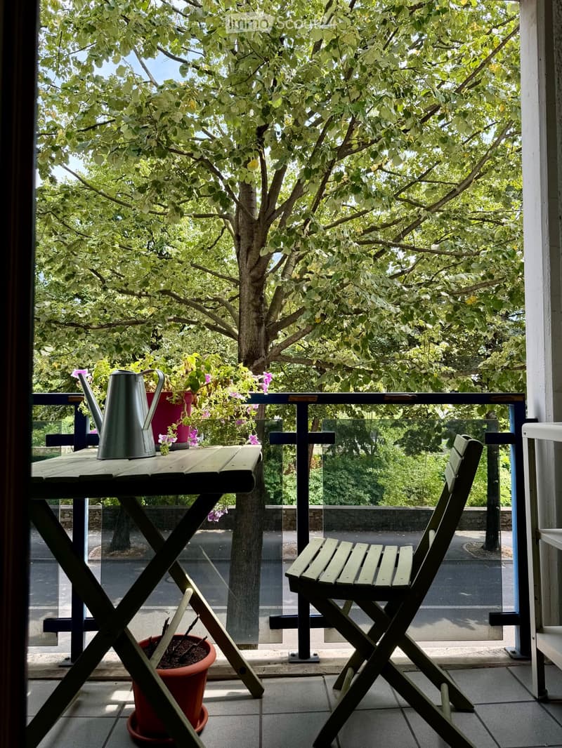 Mietwohnung mit zwei Zimmern und Balkon in Lugano (2)