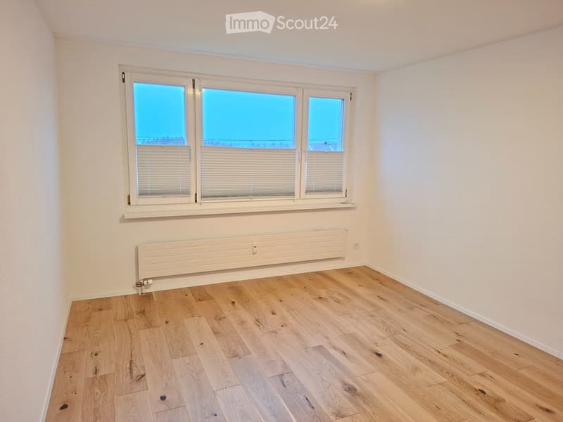 Completely renovated apartment for sale (5)