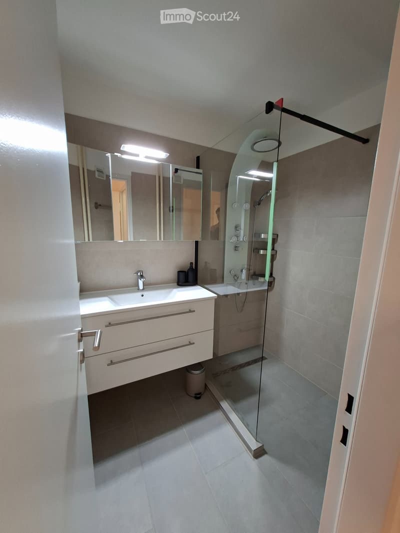 Completely renovated apartment for sale (4)
