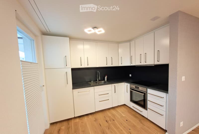 Completely renovated apartment for sale (3)