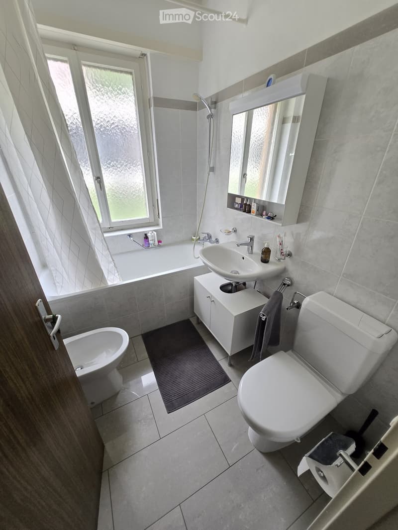 1.5 Room Apartment Furnished - Separate Kitchen (5)