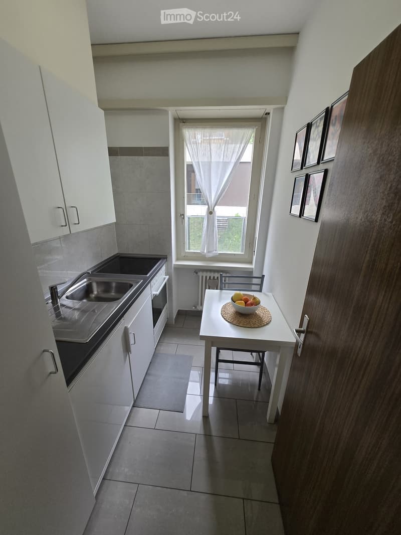 1.5 Room Apartment Furnished - Separate Kitchen (4)