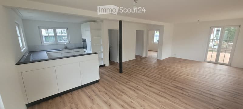 Maison unifamiliale rénovée, grands alentours (2)