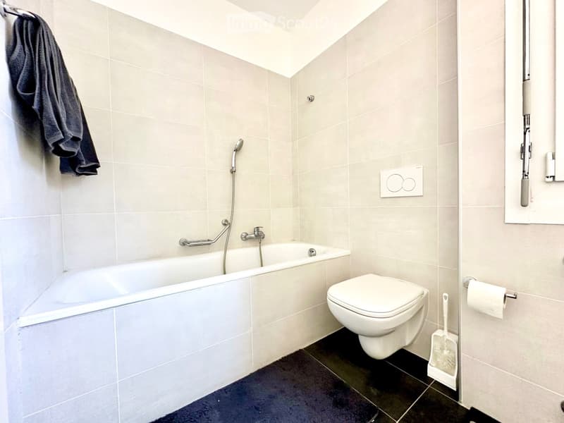 3.5 rooms renovated in Viganello-Cassarate (4)