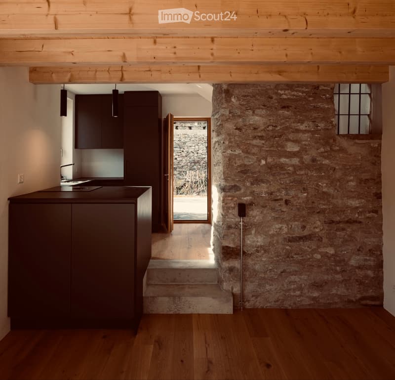 Gordola House (2)