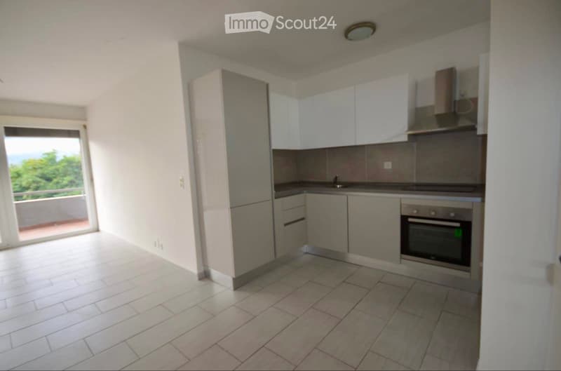Minusio  4.5 locali con posto auto + balcone-Vista montagna (2)