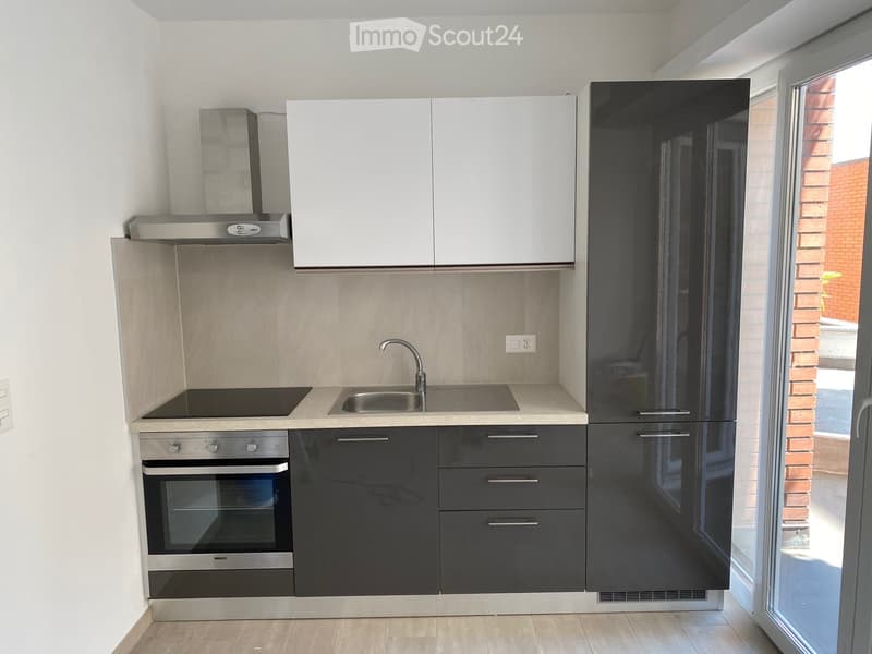 Appartement meublé à louer, complètement rénové (3)