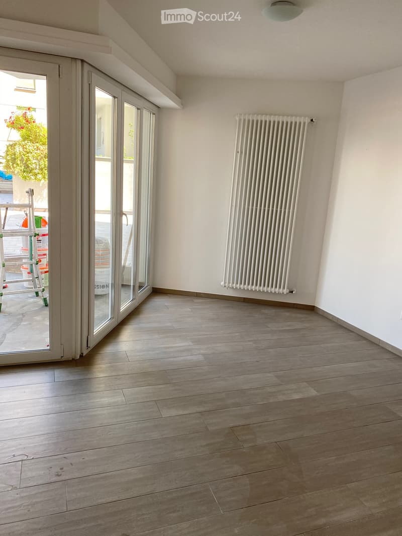 Appartement meublé à louer, complètement rénové (5)