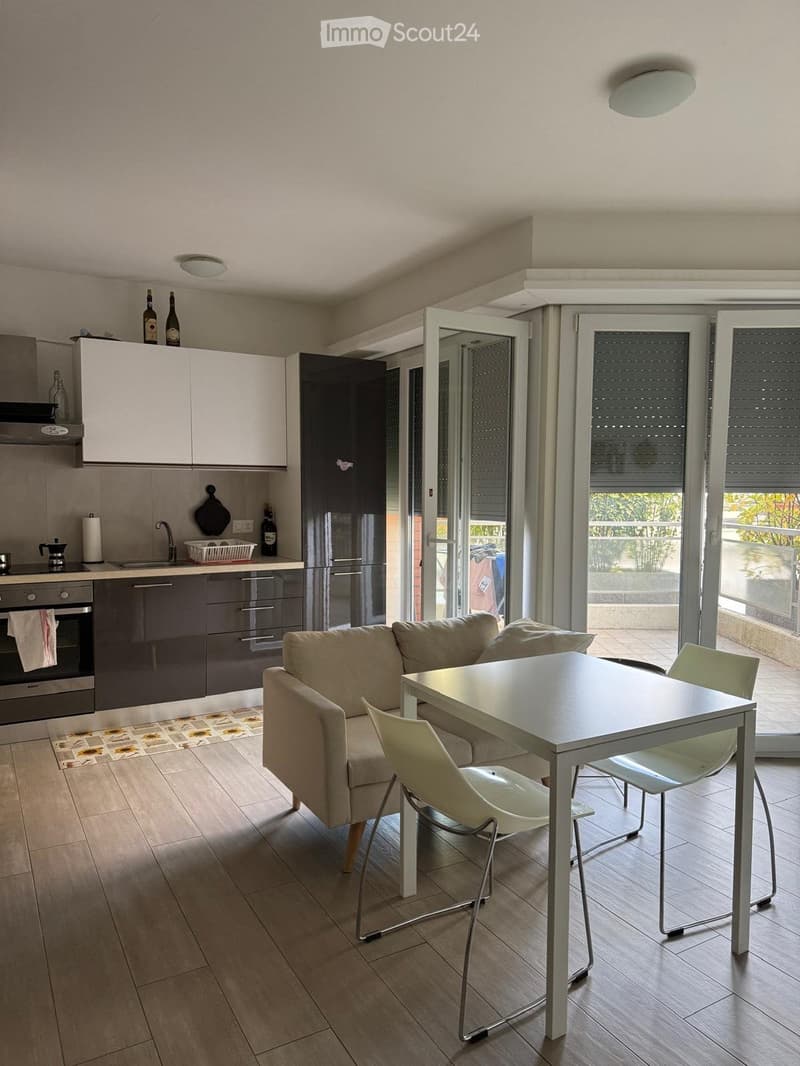 Appartement meublé à louer, complètement rénové (1)