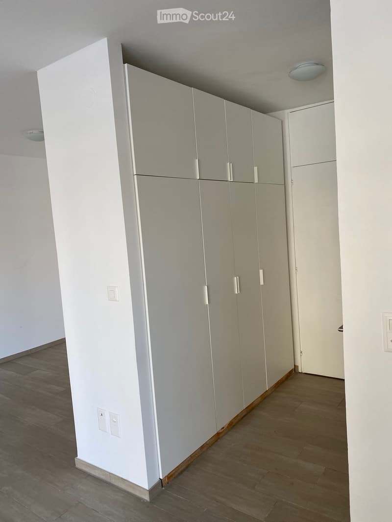 Appartement meublé à louer, complètement rénové (4)