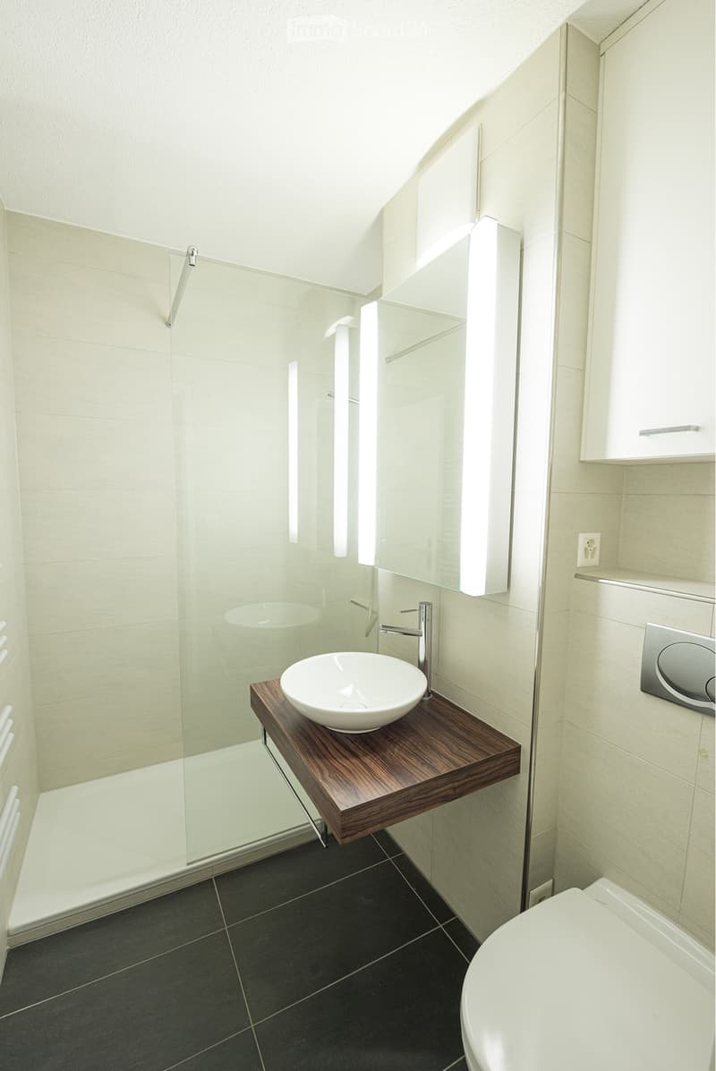 1.5 -Zi.-Ferienwohnung in Savognin (3)