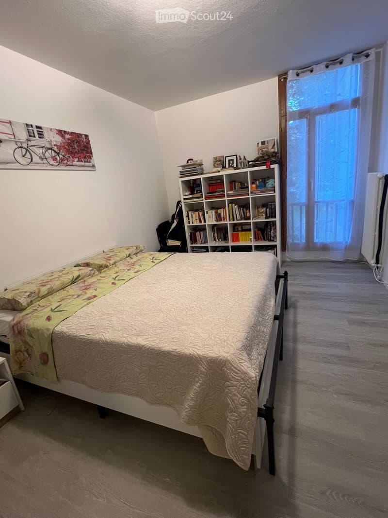 Affitto appartamento Massagno, da settembre 2026 (4)