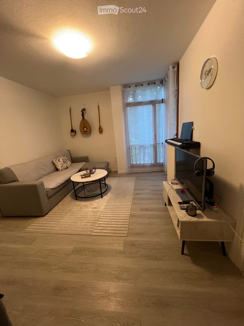 Affitto appartamento Massagno, da settembre 2026 (5)