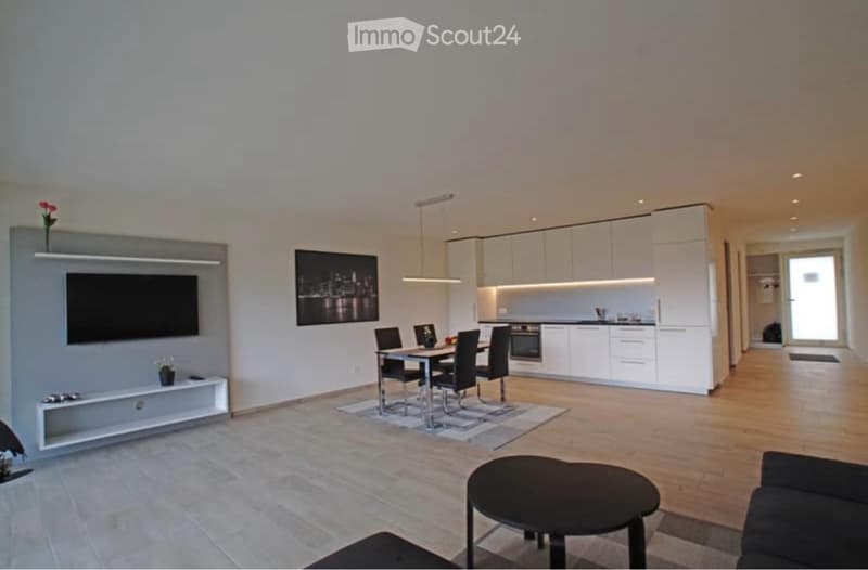 Appartement moderne de 2,5 pièces meublé (3)