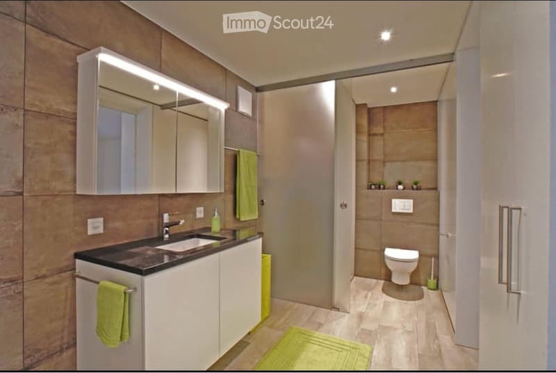 Appartement moderne de 2,5 pièces meublé (4)