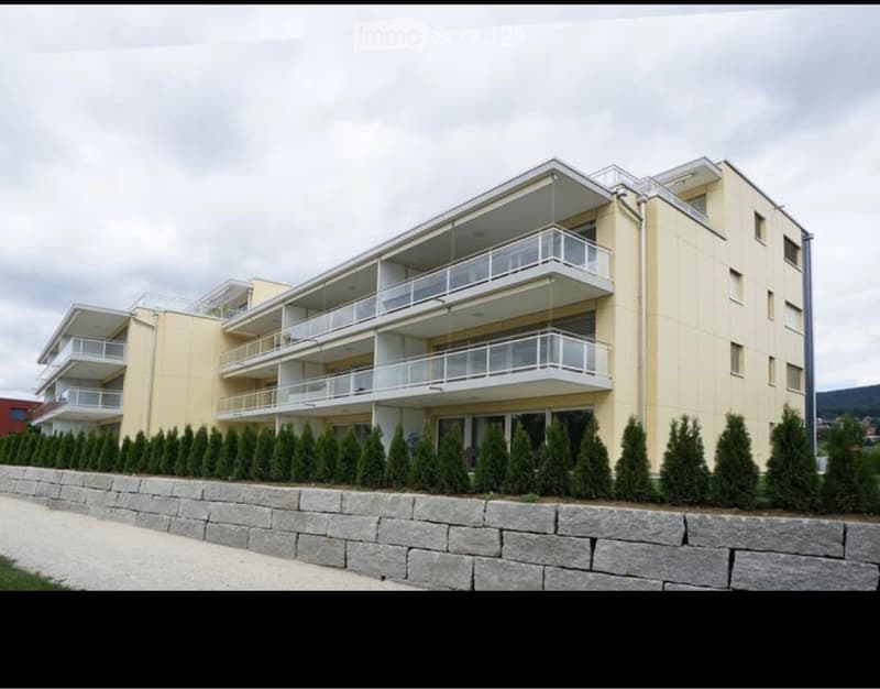 Appartement moderne de 2,5 pièces meublé (1)