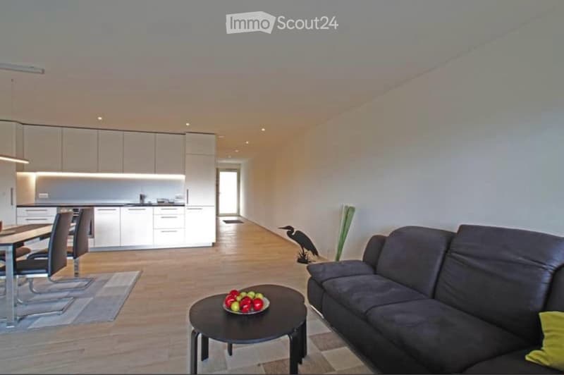 Appartement moderne de 2,5 pièces meublé (2)
