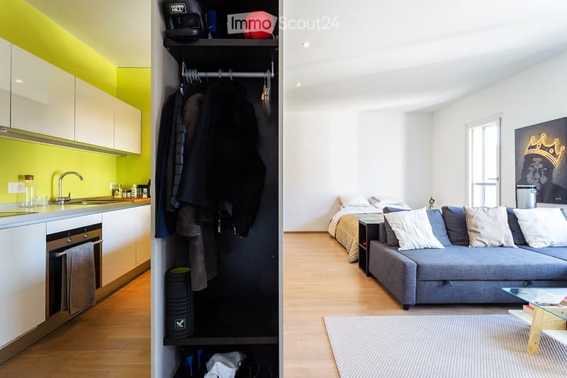 Geräumiges Einzimmerapartment in Lugano Molino Nuovo (2)