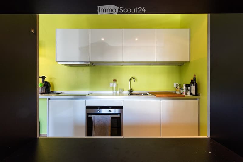 Geräumiges Einzimmerapartment in Lugano Molino Nuovo (3)