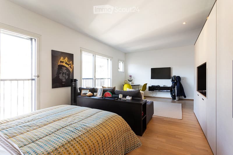 Geräumiges Einzimmerapartment in Lugano Molino Nuovo (1)