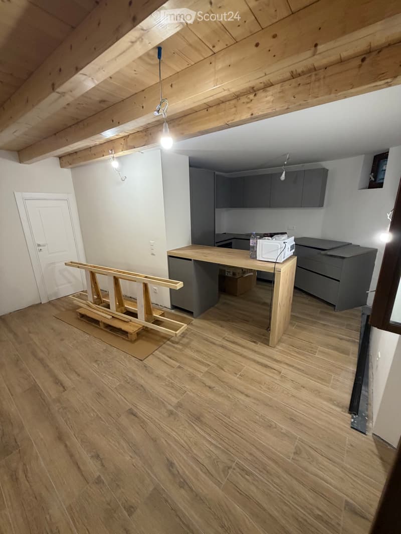 Nuovo 3.5 locali con spazio esterno e grande cantina (1)