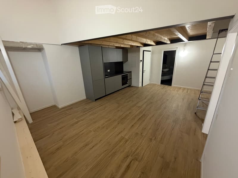 Prima locazione: 2.5 locali con soppalco a Taverne (1)