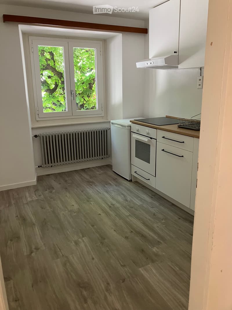 Affittasi appartamento 2,5 locali (5)