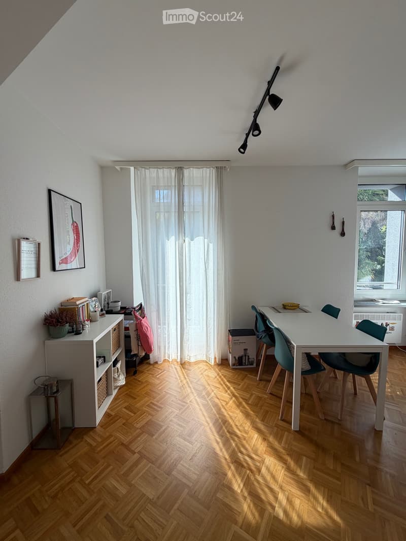 Appartamento 2.5 luminoso a Massagno (3)
