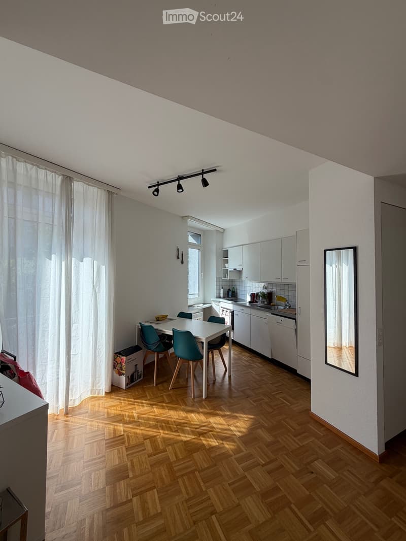 Appartamento 2.5 luminoso a Massagno (4)