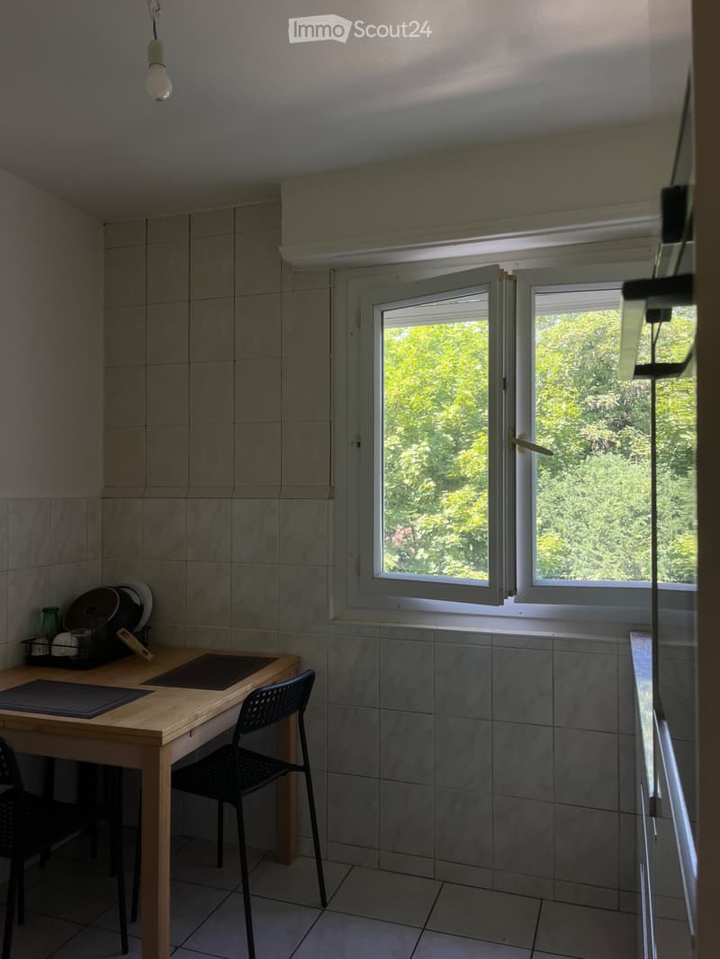 Ricerca subentrante Appartamento 2.5 locali a Renens (2)