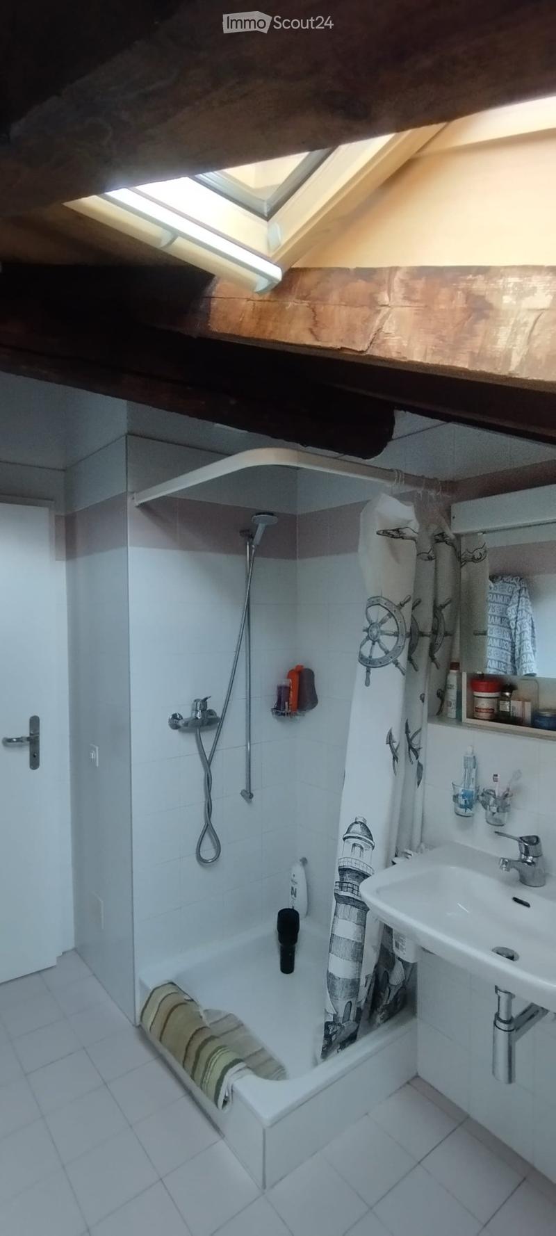 BIASCA AFFITTASI APPARTAMENTO DI 2 LOCALI AMMOBILIATO (4)
