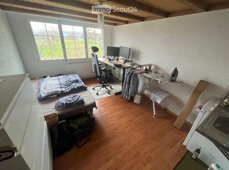 Sous-locataire pour 1 chambre et grenier / étage supérieur (1)