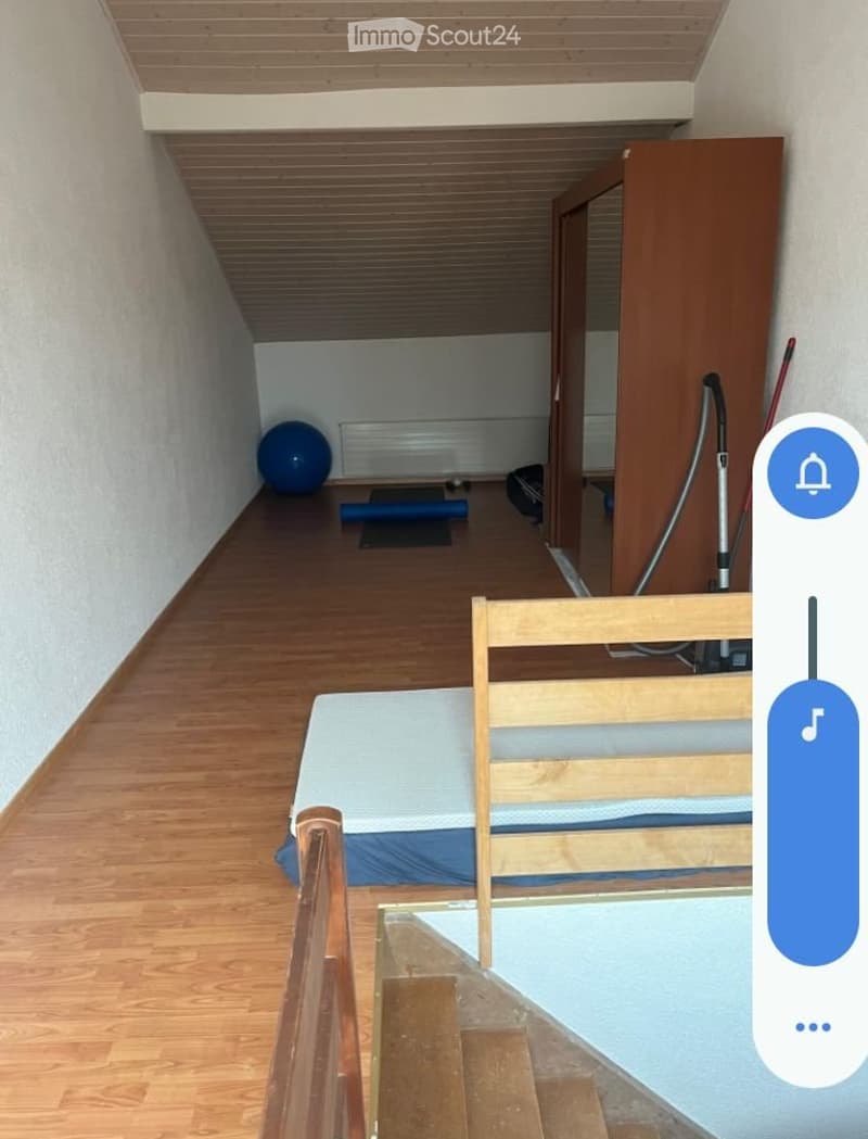 Sous-locataire pour 1 chambre et grenier / étage supérieur (3)