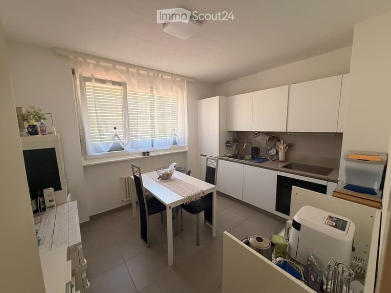 Schönes und komfortables Apartment (3)