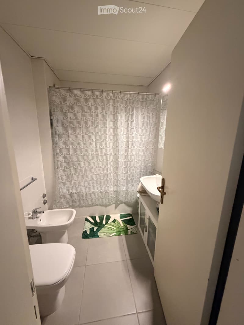 Schönes und komfortables Apartment (4)