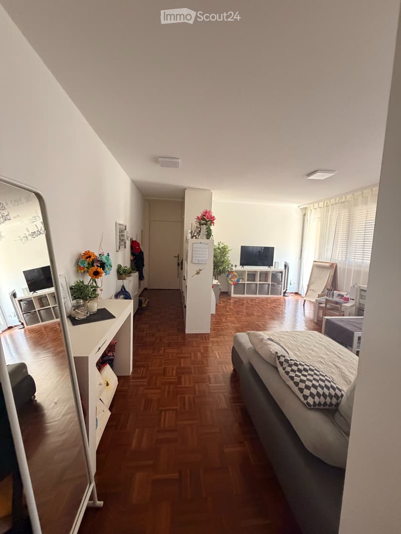 Schönes und komfortables Apartment (1)
