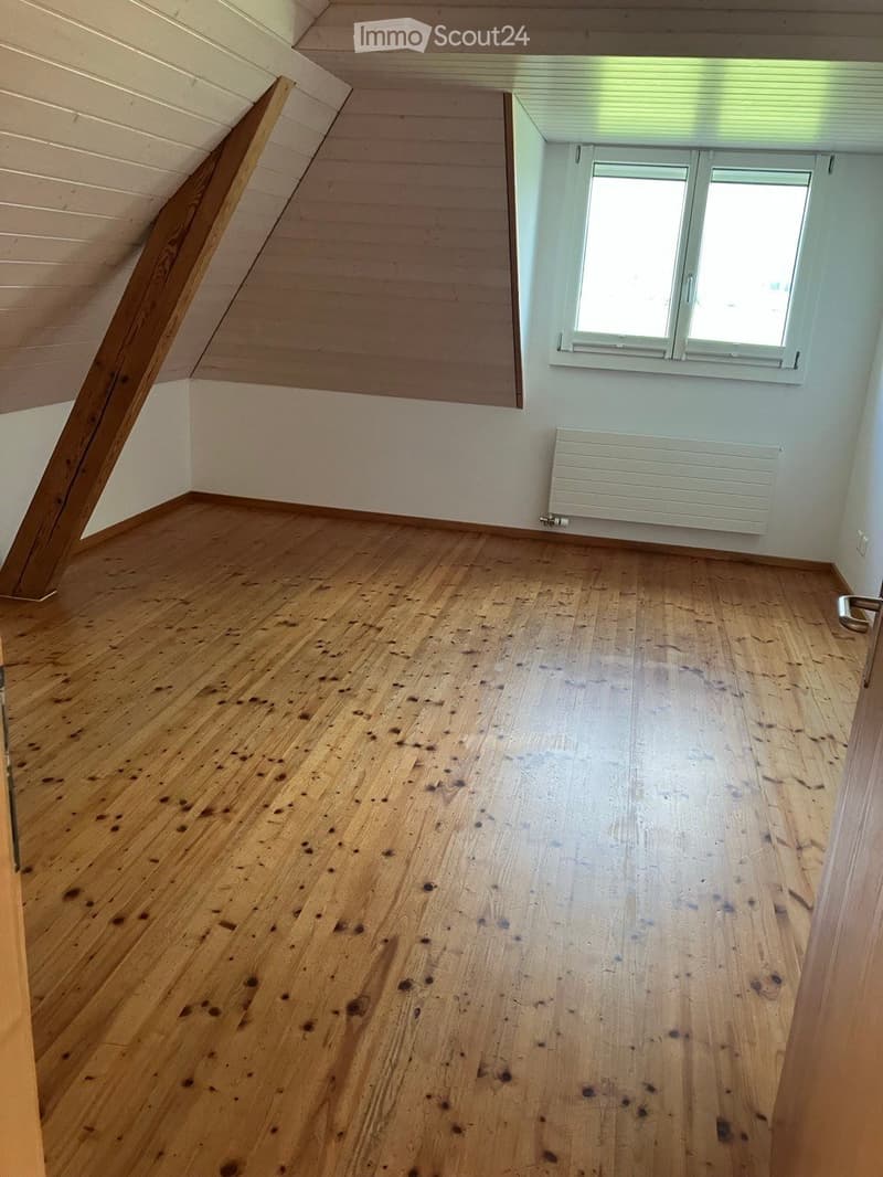 Beautiful bright apartment on a farm (4)