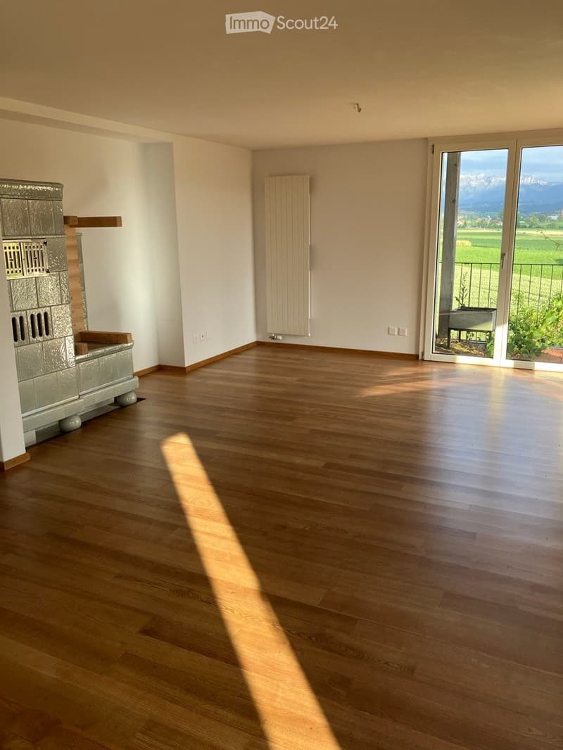 Beautiful bright apartment on a farm (2)