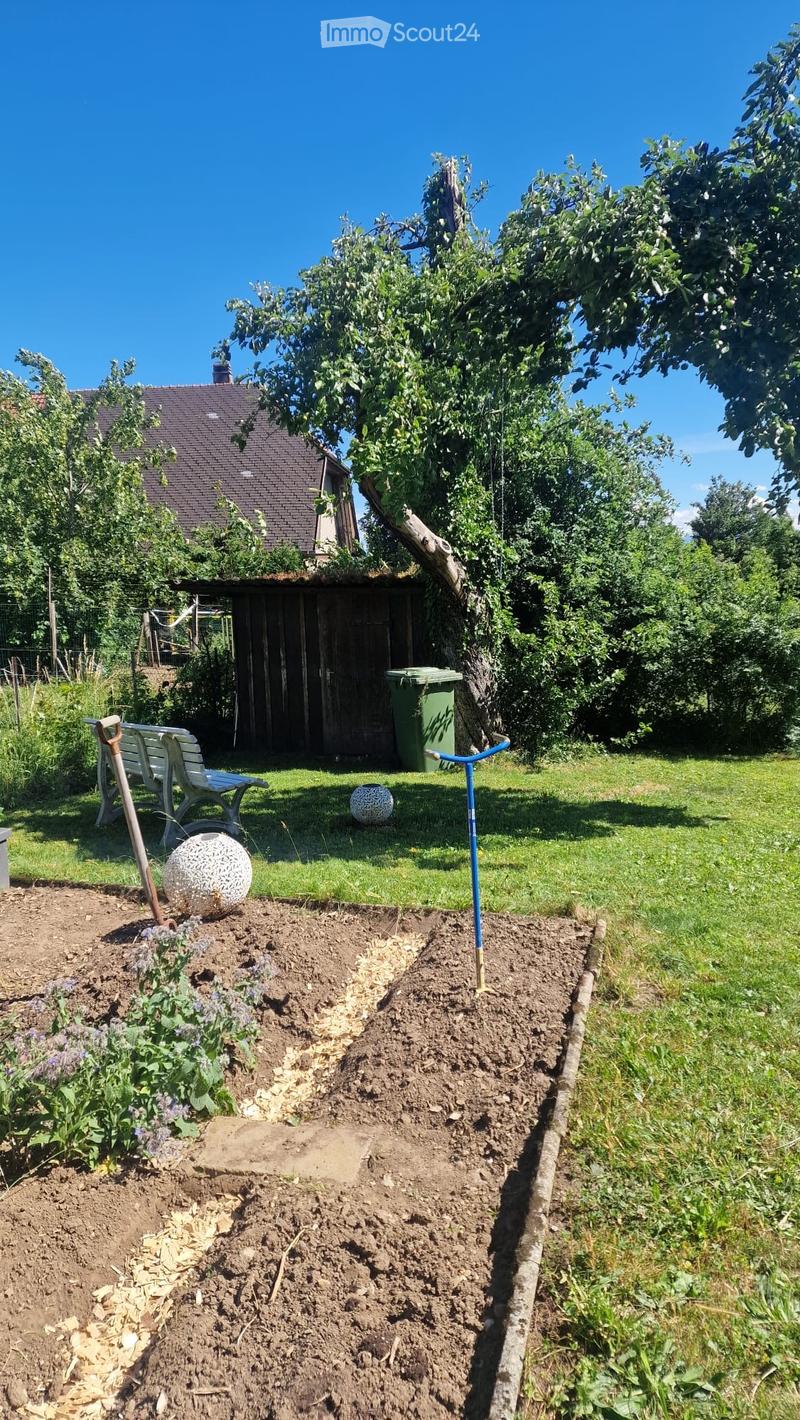 Cercasi inquilino per casa unifamiliare indipendente in una posizione da sogno (2)
