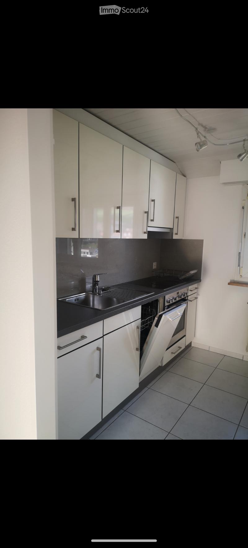 Schöne 2.5 Zimmerwohnung (3)