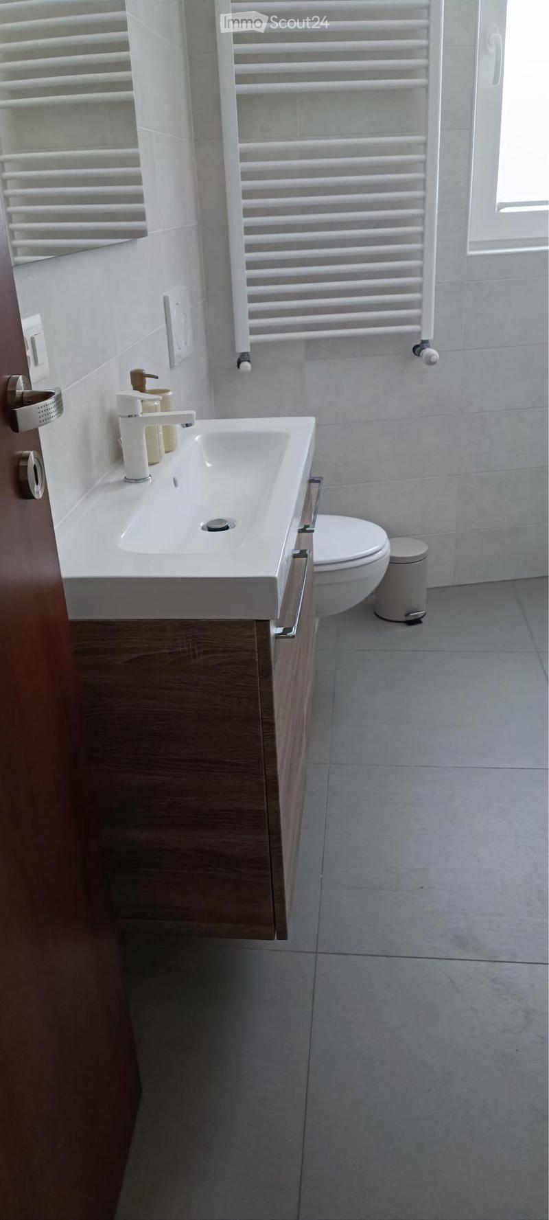 Appartamento 2.5 locali ammobiliato (5)