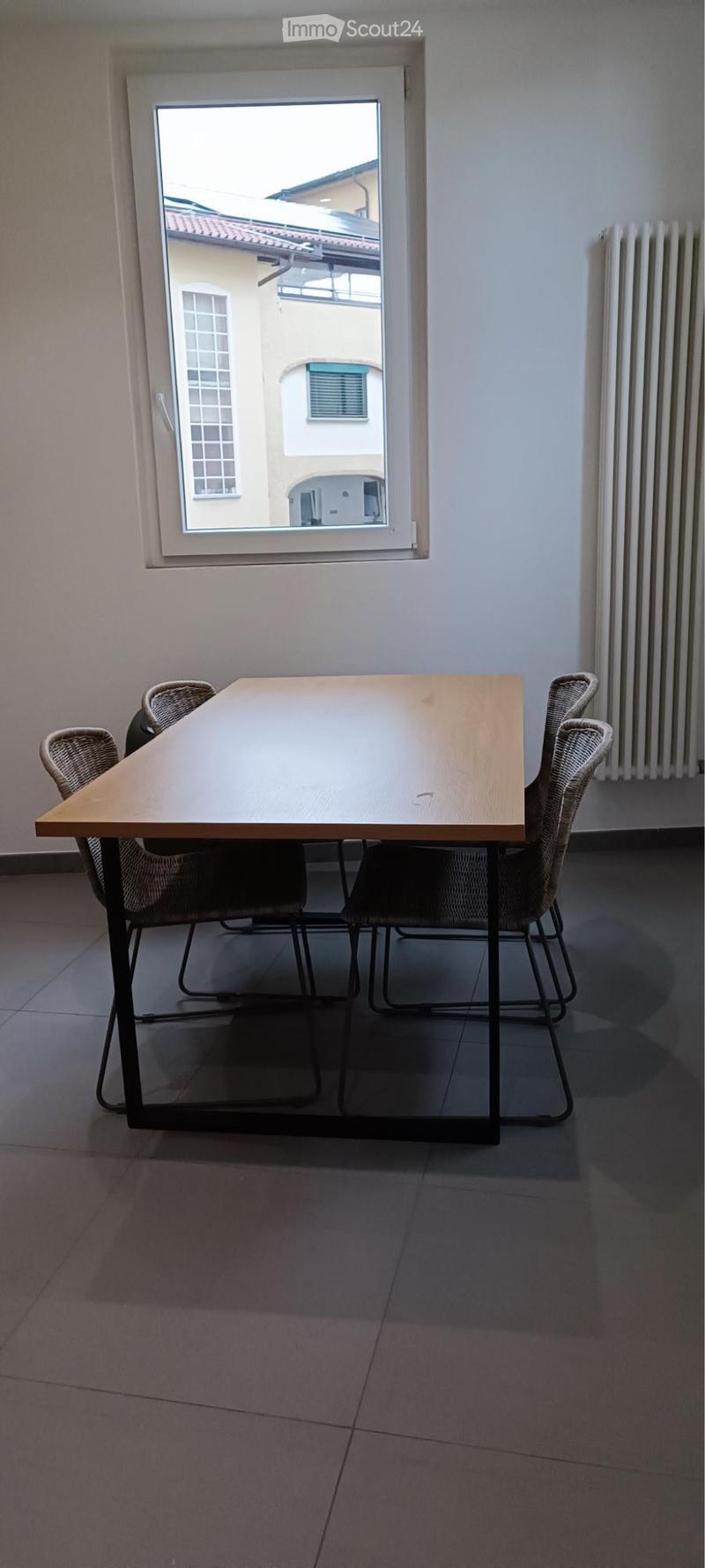 Appartamento 2.5 locali ammobiliato (3)
