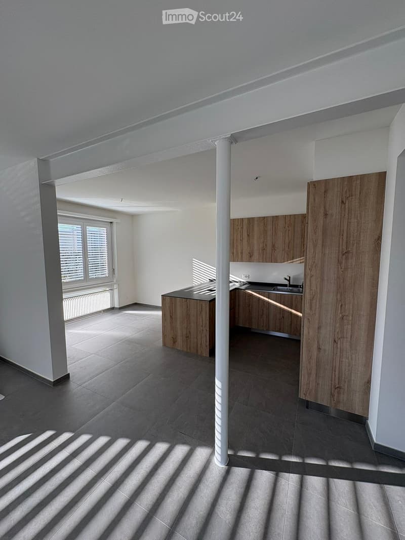 Appartamento ristrutturato 3.5 locali con giardino - Lugano (3)