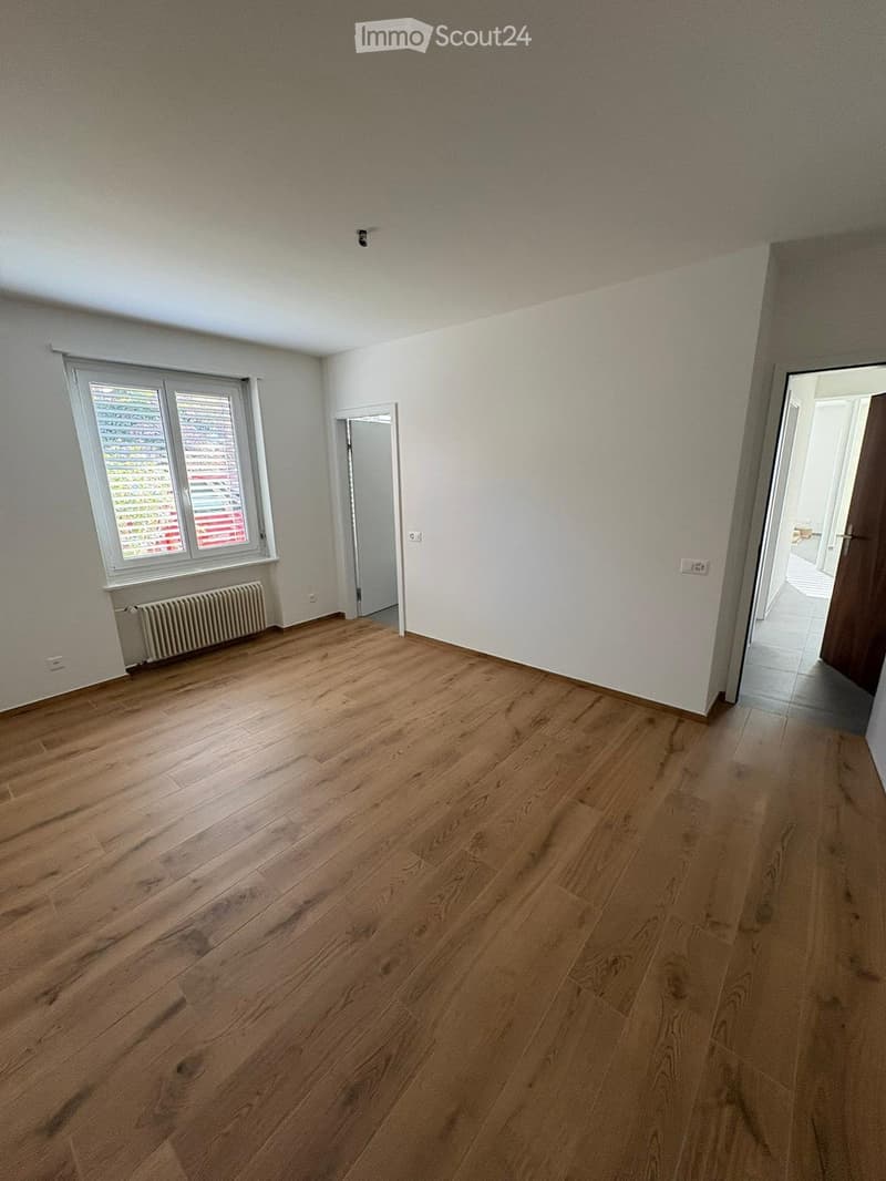 Appartamento ristrutturato 3.5 locali con giardino - Lugano (4)