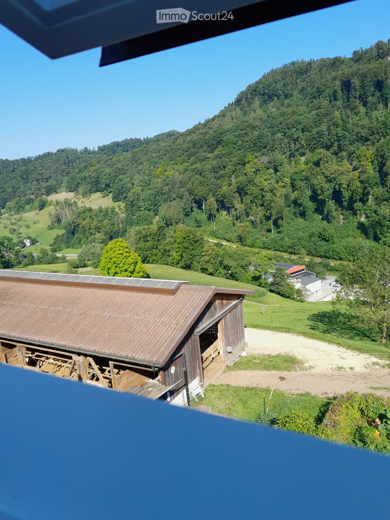 Appartamento di 2,5 locali al piano terra in affitto per dipendenti agricoli (1)
