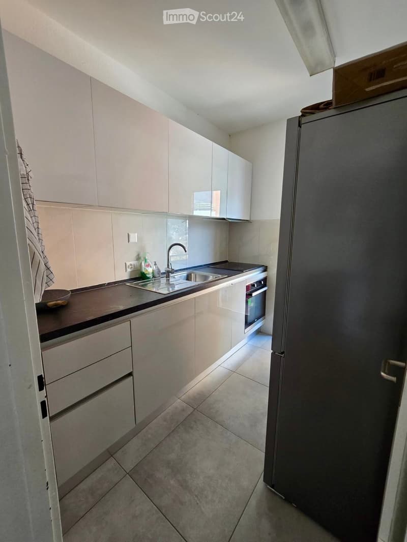 Lugano 4,5 pièces + parking en garage (3)