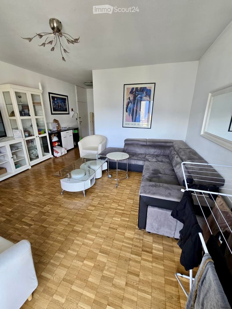 Lugano 4,5 pièces + parking en garage (2)