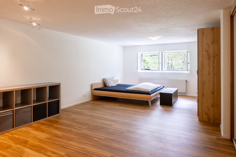 Appartement ou appartement de vacances de 2,5 pièces à Gurtnellen, UR (4)