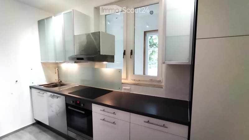 Appartamento soleggiato di 4,5 locali con grande terrazza (2)